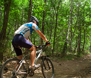 downhill, cross country or leisure bike ride 